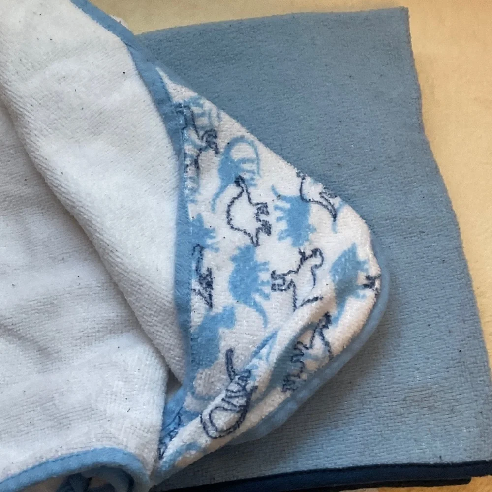 Blue and White Kids Towel Set